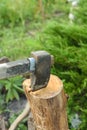 The process of cutting wood with a cleaver. Axe in the log Royalty Free Stock Photo