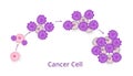 Process of development of cancer cells Royalty Free Stock Photo