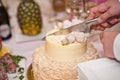 The process of dividing the cake into pieces 7406. Royalty Free Stock Photo
