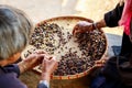 Process dried coffee beans by hand farmers Royalty Free Stock Photo