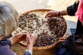 Process dried coffee beans by hand farmers Royalty Free Stock Photo