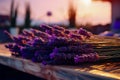 The process of drying lavender in bunches. The concept of healthcare, medicine Royalty Free Stock Photo
