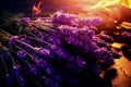 The process of drying lavender in bunches. The concept of healthcare, medicine Royalty Free Stock Photo