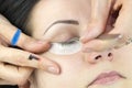 The process of eyelash extensions