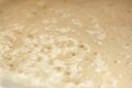 Process of fermentation of homemade spelled bread sourdough Active wheat starter for home-baked bread close up. Healthy eating