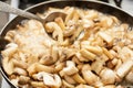 Process of frying of mushrooms