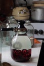 The process of harvesting the winter compote of dogwood