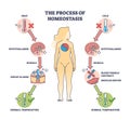 Process of homeostasis as human body temperature regulation outline diagram