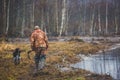 A process of hunting during hunting season, process of duck hunting, group of hunters and drathaar, german wirehaired pointer dog