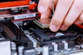 The process of installing in CPU microprocessor to motherboard socket Royalty Free Stock Photo