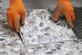 Process of laying ceramic tiles on floor smeared with glue. Worker`s hands with a tile closeup Royalty Free Stock Photo