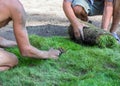 The process of laying the lawn workers