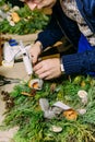 Process making Christmas wreath pine needles gluing Royalty Free Stock Photo
