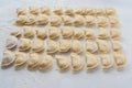 The process of making dumplings home. Set. Ukraine.