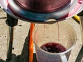 The process of making homemade grape wine. The operation of a hydraulic press to obtain grape juice for fermentation