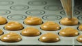 Process of making macaron macaroon, squeezing the dough form cooking bag. Food industry, mass or volume production Royalty Free Stock Photo
