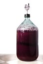 The process of making red homemade wine. A 20 liter glass bottle with a must with an airlock in a cork.