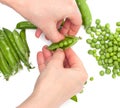 Process of manual cleaning of green peas on white background