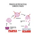 process of metastases cancer stages illustration isolated on white background Royalty Free Stock Photo