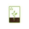 The process of the plant, a green plant in the ground, a symbol of recycling, ecology