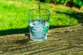 Process of pouring pure clear water into a glass from top, wooden log, green grass in the background, outdoors, health, hydration Royalty Free Stock Photo