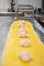 Process of preparation of Italian pasta, handmade pasta, Italian gastronomy