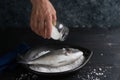 Process of preparation of sea bream salt. Sparus aurata Top view. Dark background