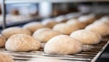 Close-up of the dough fermentation process, natural and organic, artisan bakery production