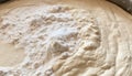 Top view of the dough preparation and fermentation process, natural and organic, artisan bakery