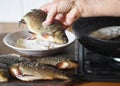 The process of preparing river fish crucian carp for frying in a pan.Elderly woman`s hand rolls the fish in flour Royalty Free Stock Photo