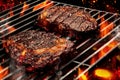 Process of preparing two pork or beef steaks. Meat roasted on metal portable barbecue BBQ grill with bright flaming fire Royalty Free Stock Photo