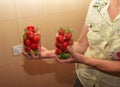 The process of preserving tomatoes for the winter. Female hands stack ripe red juicy tomatoes in glass jars