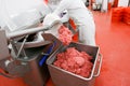 Raw meat minced in an industrial process factory stored in a stainless steel crate at a processing Royalty Free Stock Photo