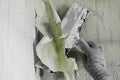 The process of removing old worn out unattractive green from the wall with the help of available tools and a spatula, hands, Royalty Free Stock Photo