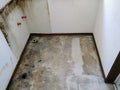 In the process of replacing the bathroom floor