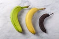 Ripening stages of a banana Royalty Free Stock Photo