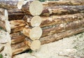 Process of rustic house construction from heavy logs Royalty Free Stock Photo