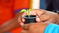 The process of seeding vegetable seeds on special ingredients