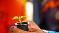 The process of seeding vegetable seeds on special ingredients