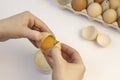 The process of separating the yolk from the protein. Tray of chicken eggs Royalty Free Stock Photo