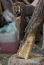 Craftsmanship in Action: Sharpening a Wooden Stick Royalty Free Stock Photo