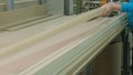 The process of veneering wood blanks, the production of wooden doors