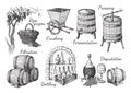 Process of wine production