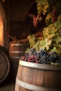 Process of winemaking in winery. Red grapes in the wooden oak barrel Royalty Free Stock Photo