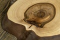 processed beautiful walnut wood used for the manufacture of objects Royalty Free Stock Photo