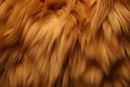 Processed collage of fluffy animal fur surface texture. Background for banner, backdrop or texture Royalty Free Stock Photo