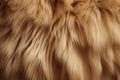 Processed collage of fluffy animal fur surface texture. Background for banner, backdrop or texture Royalty Free Stock Photo