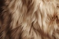 Processed collage of fluffy animal fur surface texture. Background for banner, backdrop or texture Royalty Free Stock Photo