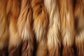 Processed collage of fluffy animal fur surface texture. Background for banner, backdrop or texture Royalty Free Stock Photo