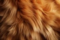 Processed collage of fluffy animal fur surface texture. Background for banner, backdrop or texture Royalty Free Stock Photo
